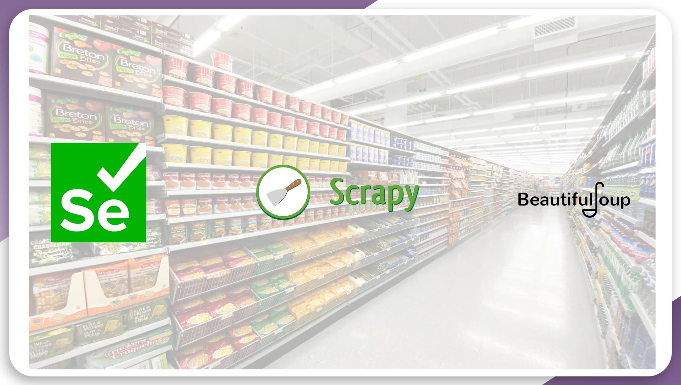 How to Scrape Grocery Data Tools and Techniques